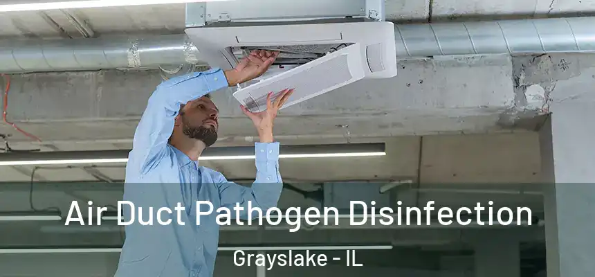  Air Duct Pathogen Disinfection Grayslake - IL