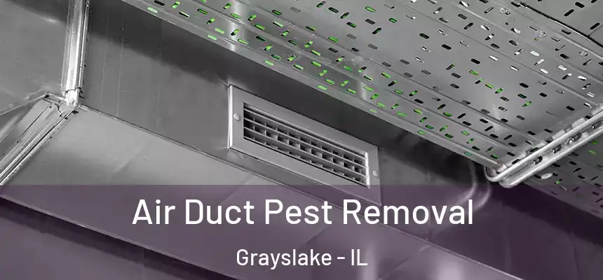  Air Duct Pest Removal Grayslake - IL