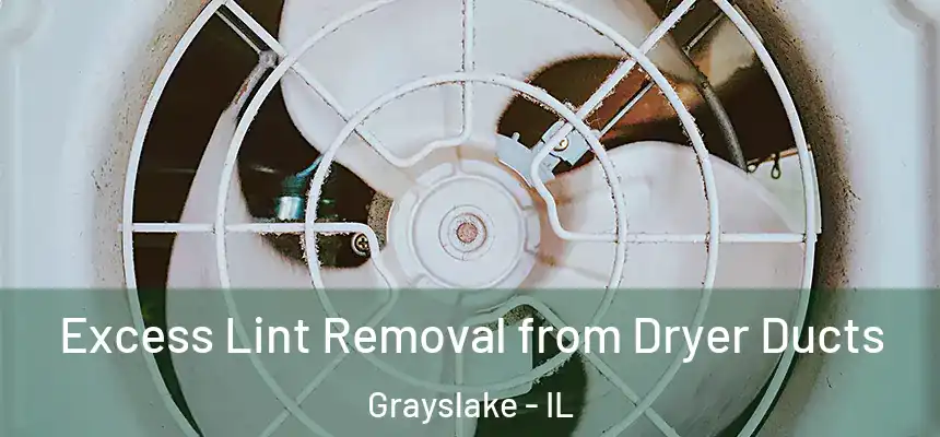  Excess Lint Removal from Dryer Ducts Grayslake - IL