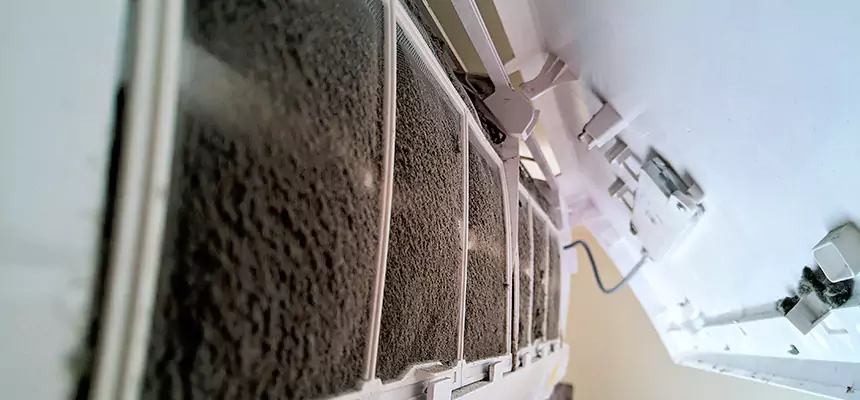 Preventive Air Duct Bacteria Removal in Grayslake