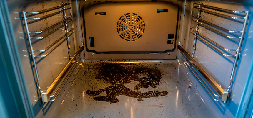 Our Dryer Vent Mold Cleaning Services in Grayslake, IL