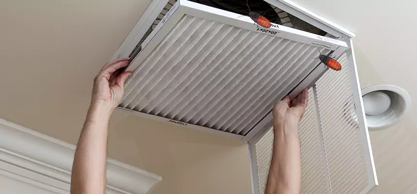 Our Insect Removal from Air Ducts Services in Grayslake, IL