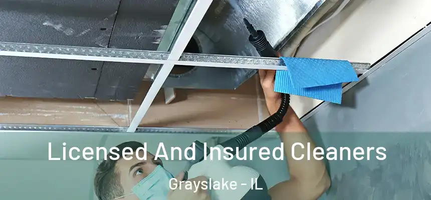  Licensed And Insured Cleaners Grayslake - IL