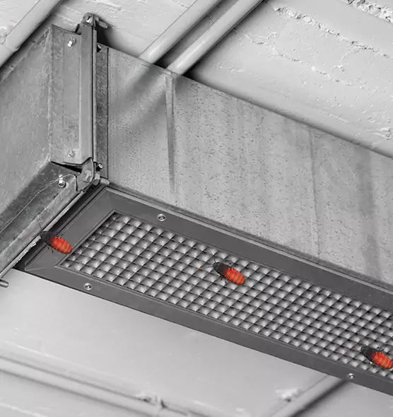 About Air Duct Cockroach Removal in Grayslake, IL