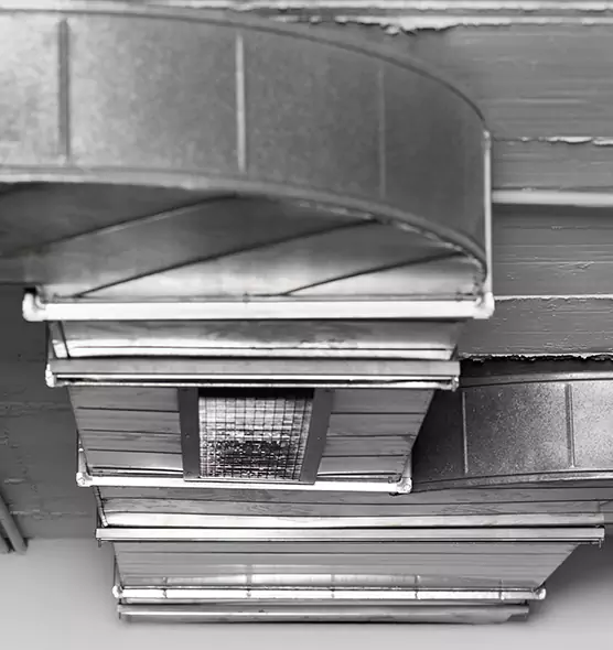 Professional Air Duct Pest Removal in Grayslake, IL