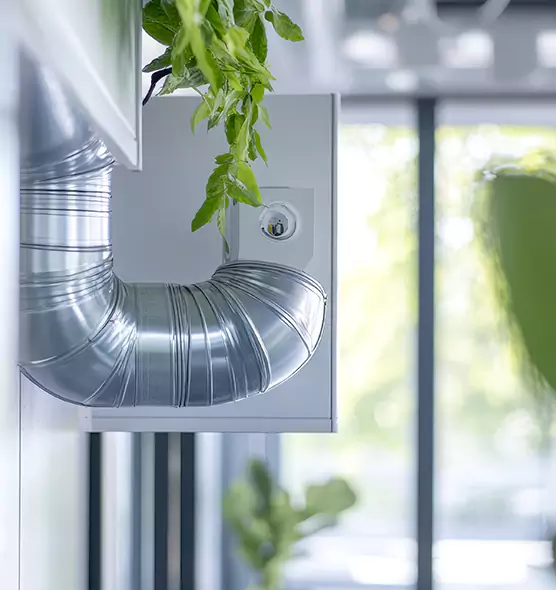 Professional Eco-Friendly Duct Cleaning Services in Grayslake, IL