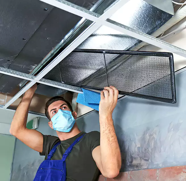 Why Homeowners Businesses Trust Us in Grayslake, IL