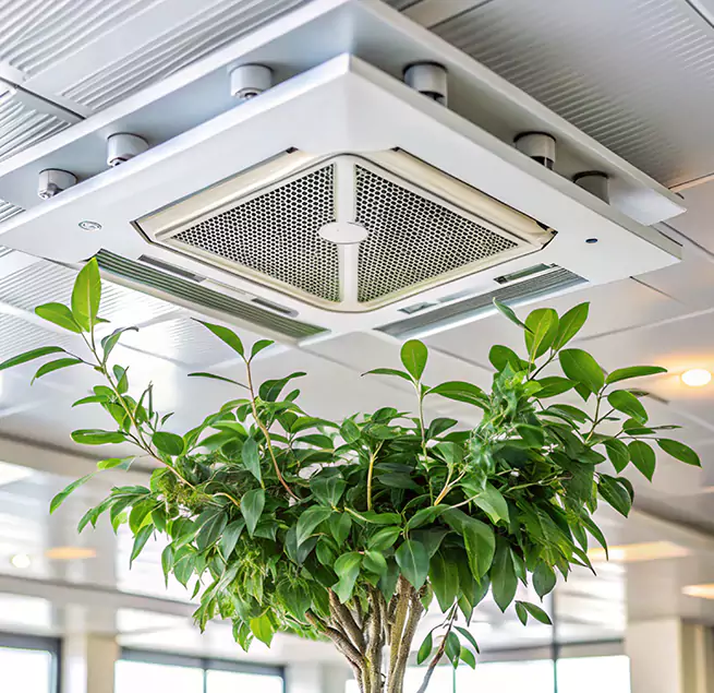 Why Homeowners & Businesses Trust Us in Grayslake, IL?